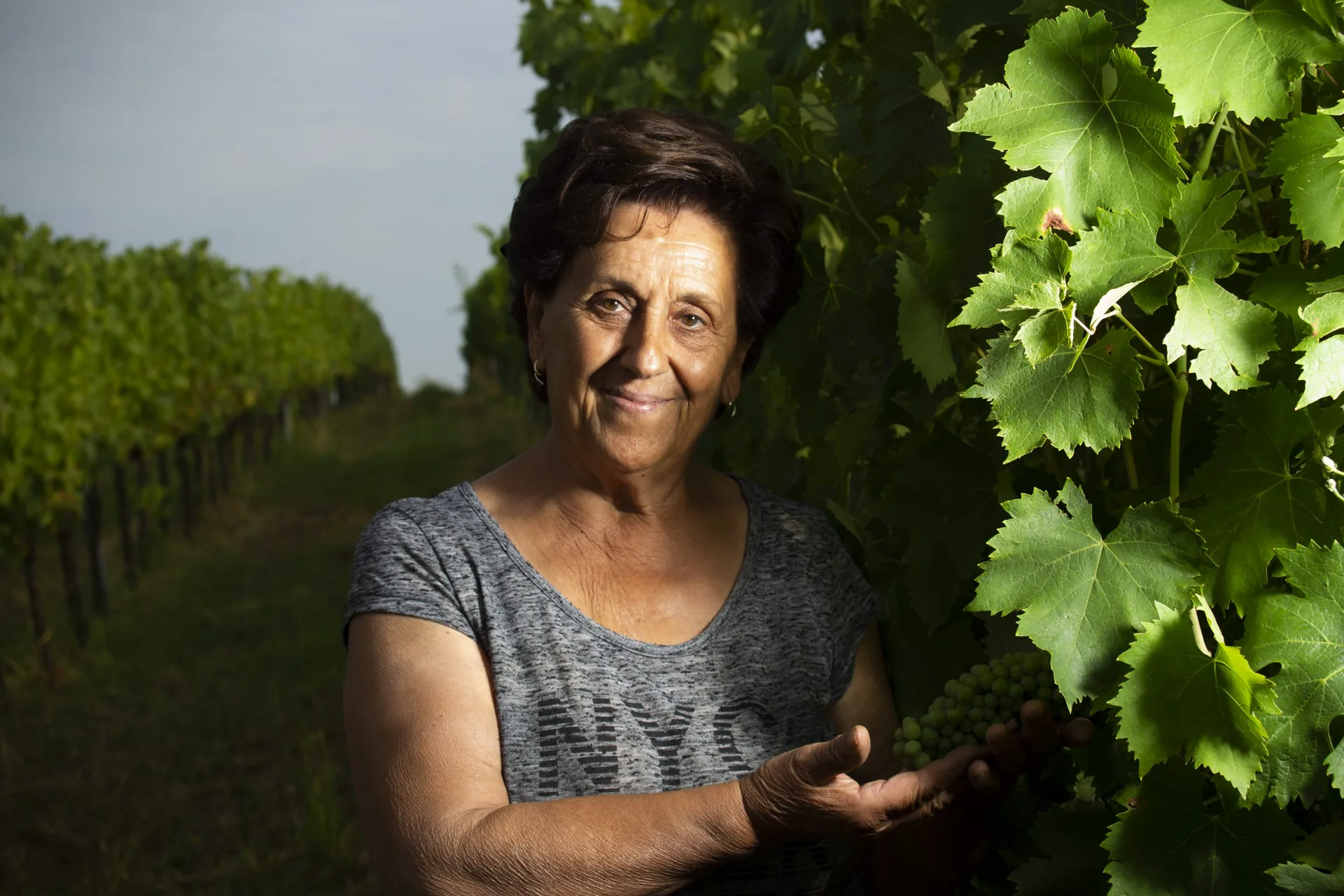 Lidia tra i filari