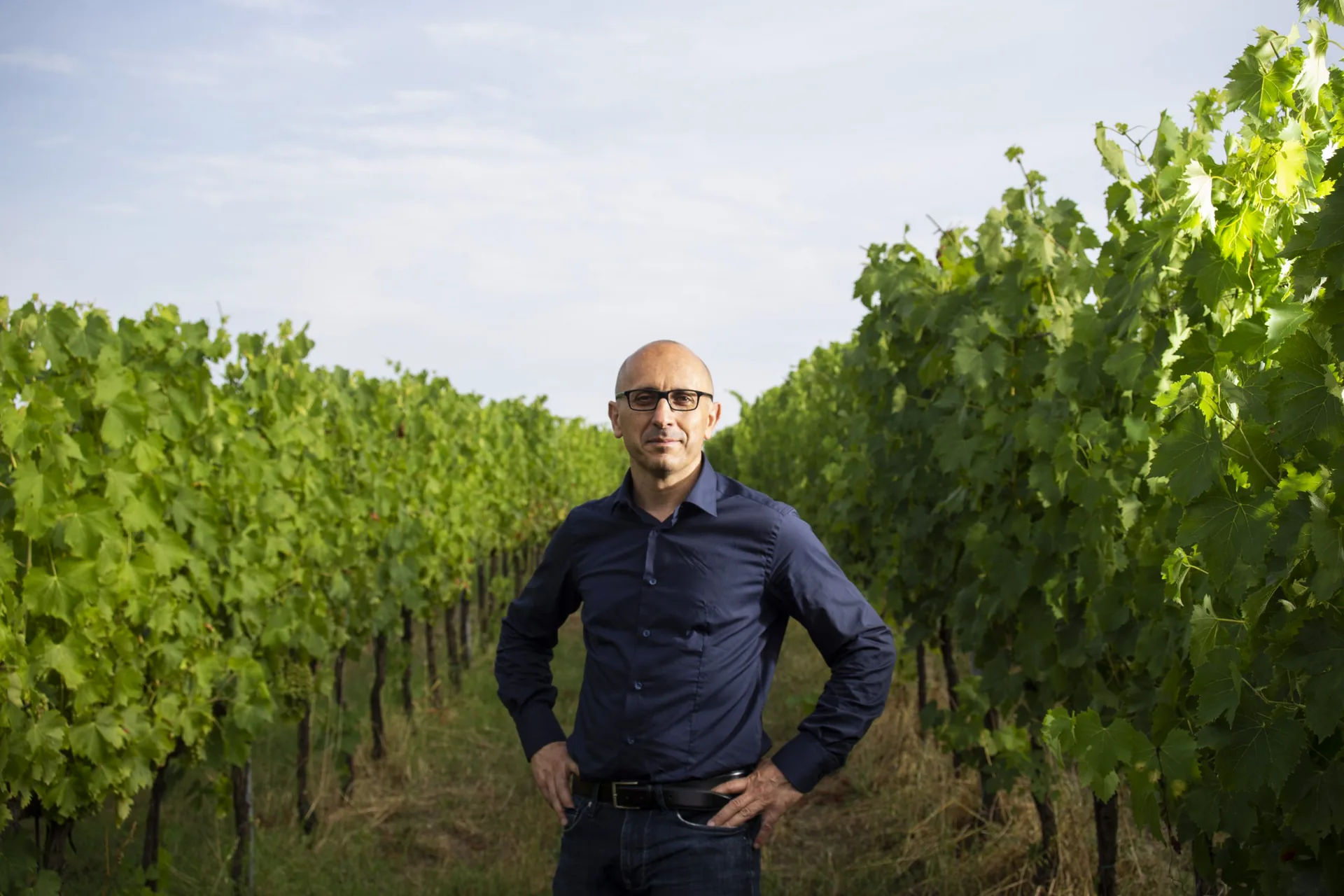 Stefano Gabellini in vigna