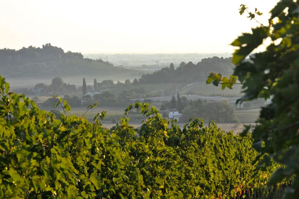 Le colline che scendono verso il mare